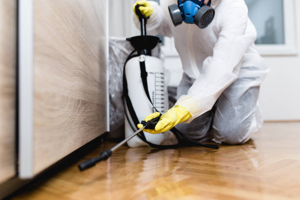 Best Best Pest Control Companies  in Manhasset Hills, NY