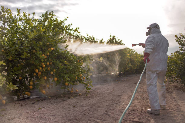 Best Mosquito Control Services  in Manhasset Hills, NY