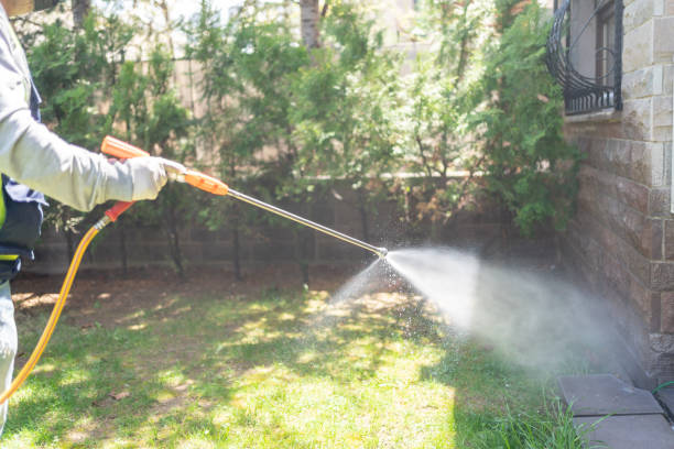 Wildlife Control Services in Manhasset Hills, NY
