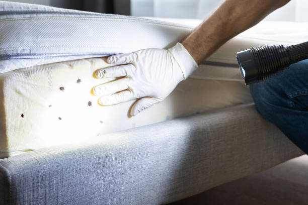 Best Best Pest Control Companies  in Manhasset Hills, NY