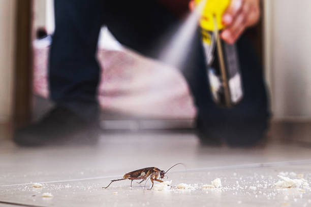 Best Pest Inspection Near Me  in Manhasset Hills, NY
