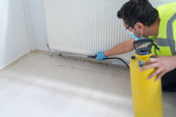 Best Pest Inspection Near Me  in Manhasset Hills, NY