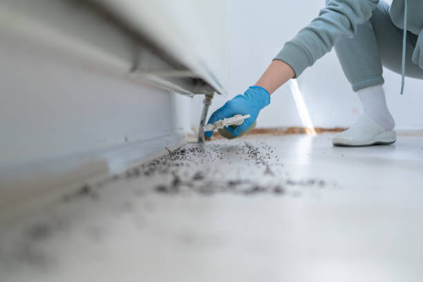 Best Pest Removal Services  in Manhasset Hills, NY