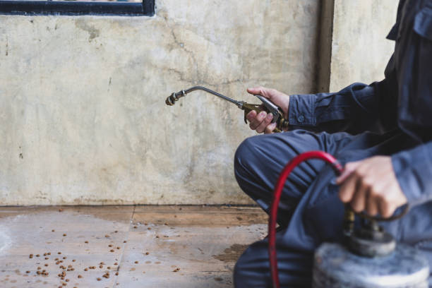 Best Pest Prevention Services  in Manhasset Hills, NY